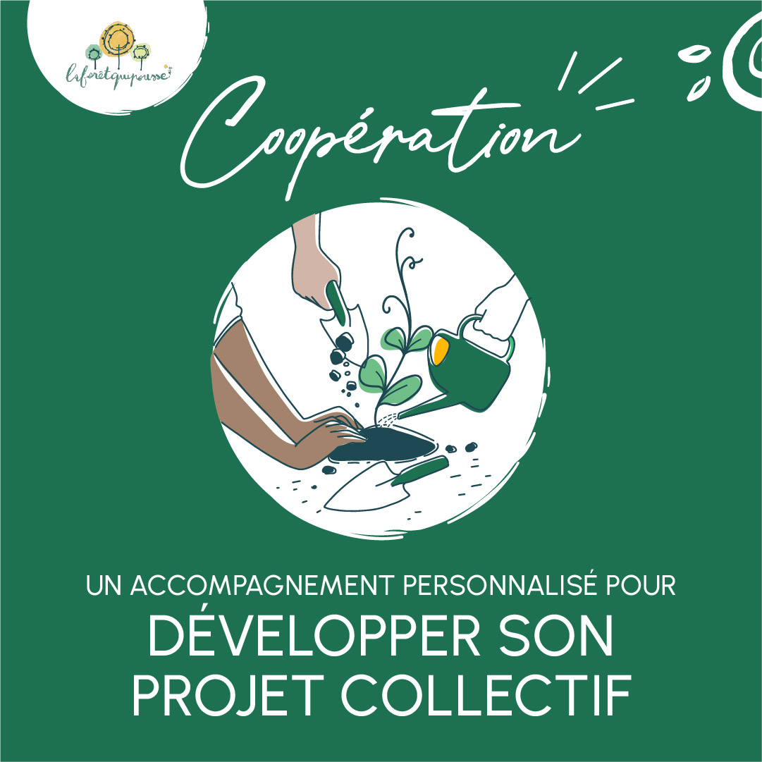 04-Cooperation-Insta-1